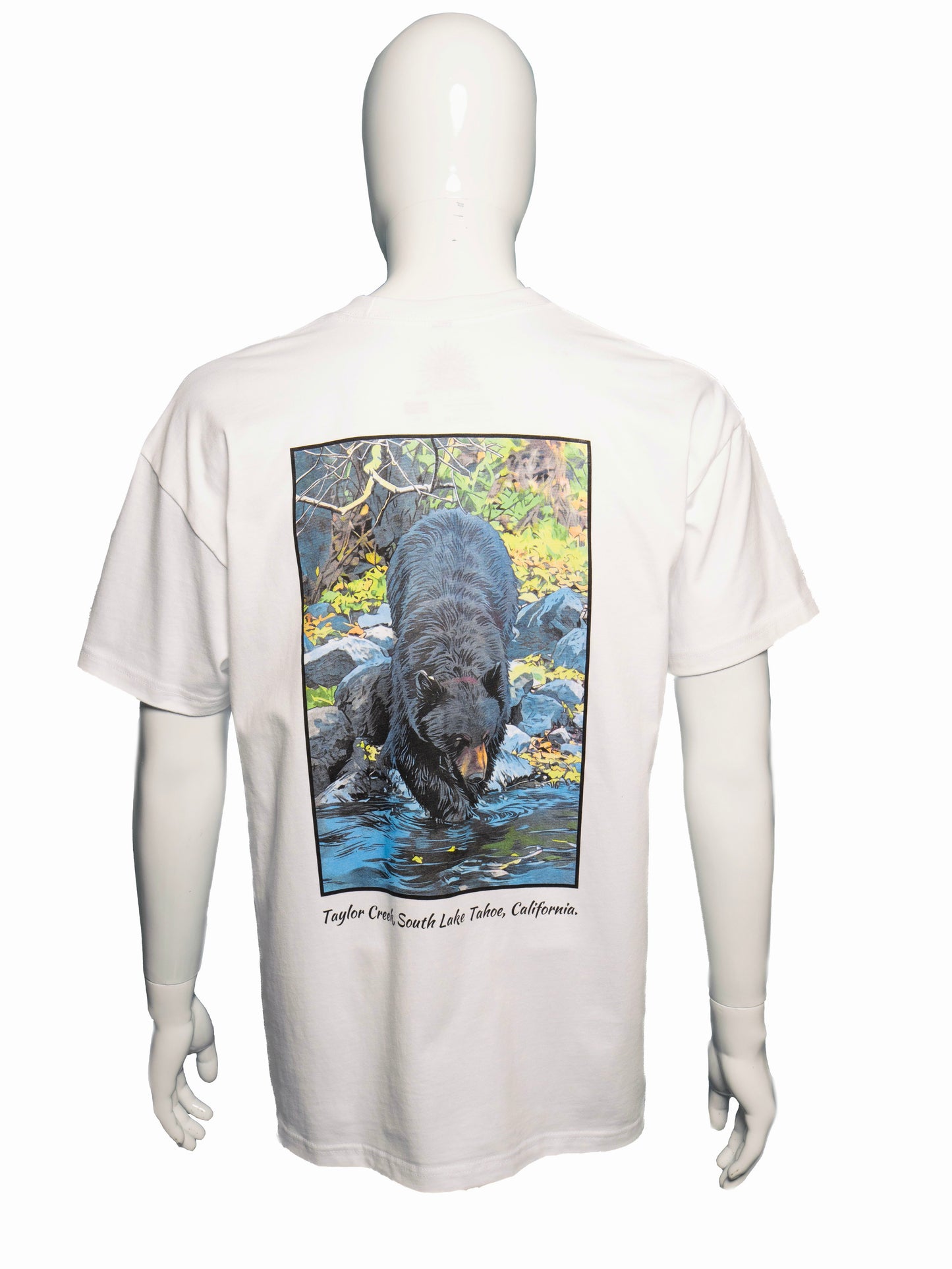 The Bear